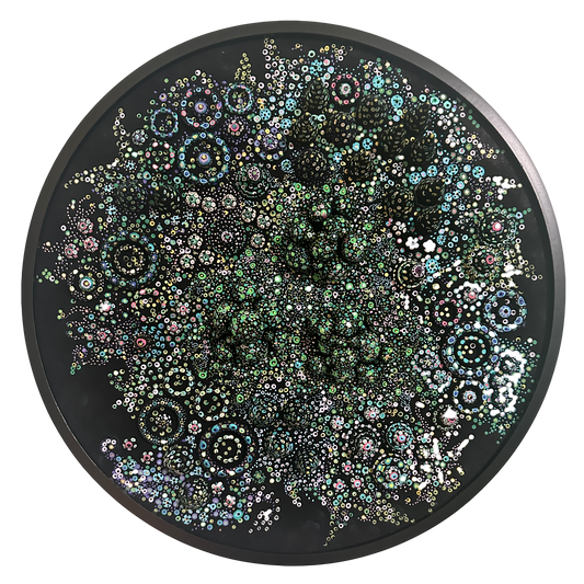 Hidden Worlds - Anabaena