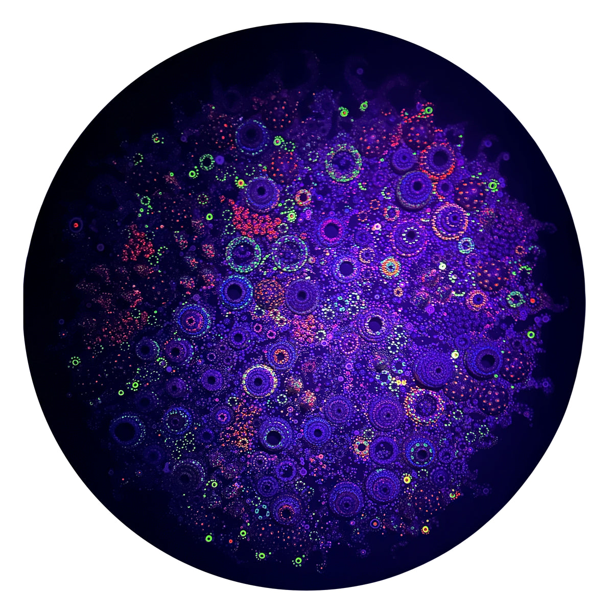 Microbiology - Hyphaea